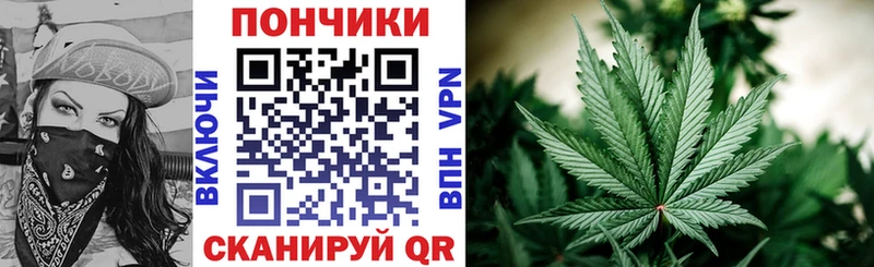 как найти наркотики  Балтийск  Шишки марихуана тримм 